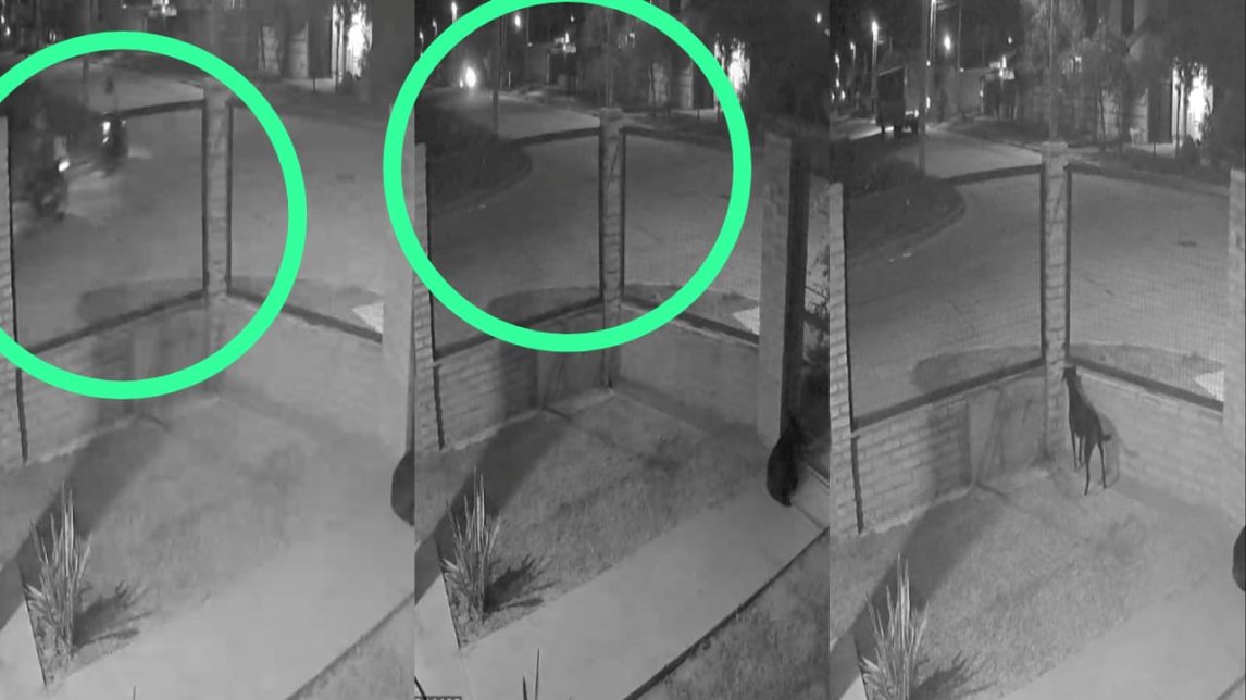 Barrio Santa Lucía: delincuentes asaltan a una trabajadora cuando entregaba un pedido, le quitan su moto y escapan como si nada