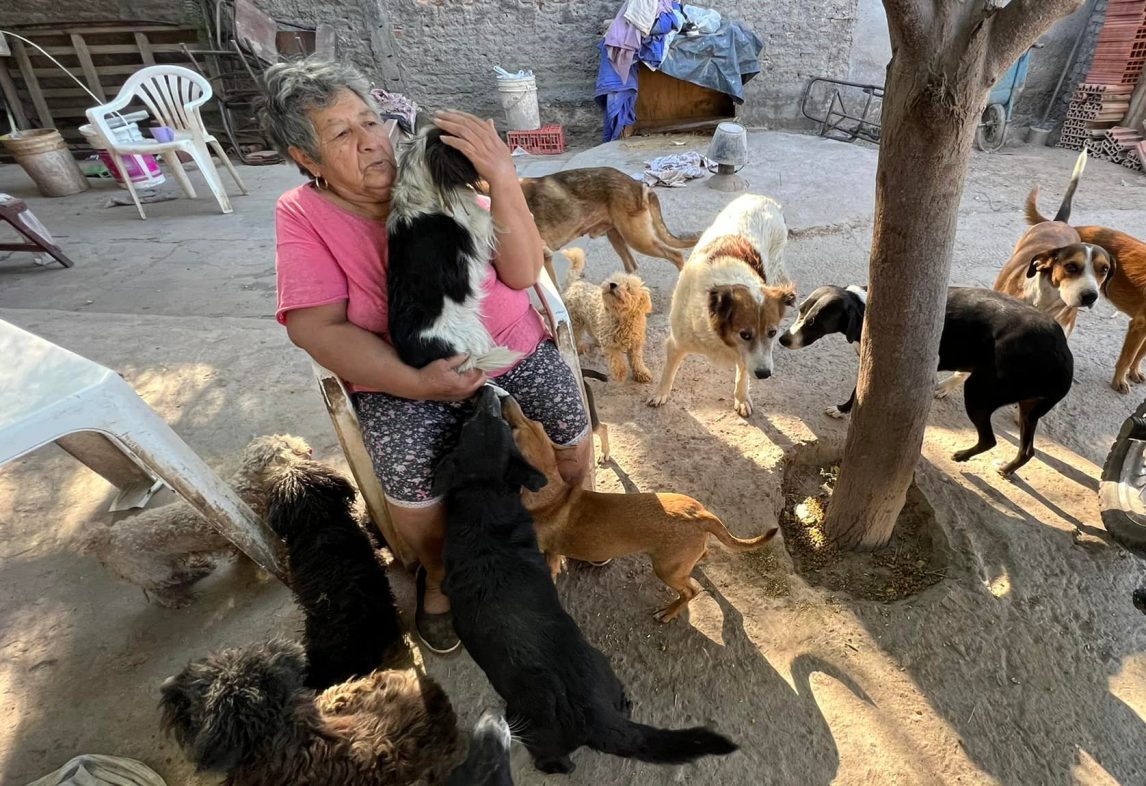 Doña Betty, la abuela de 76 años que cuida a 40 “canichones”