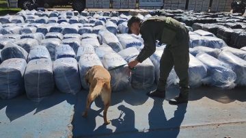 Cargamento millonario: interceptan camión con más de 6 toneladas de coca