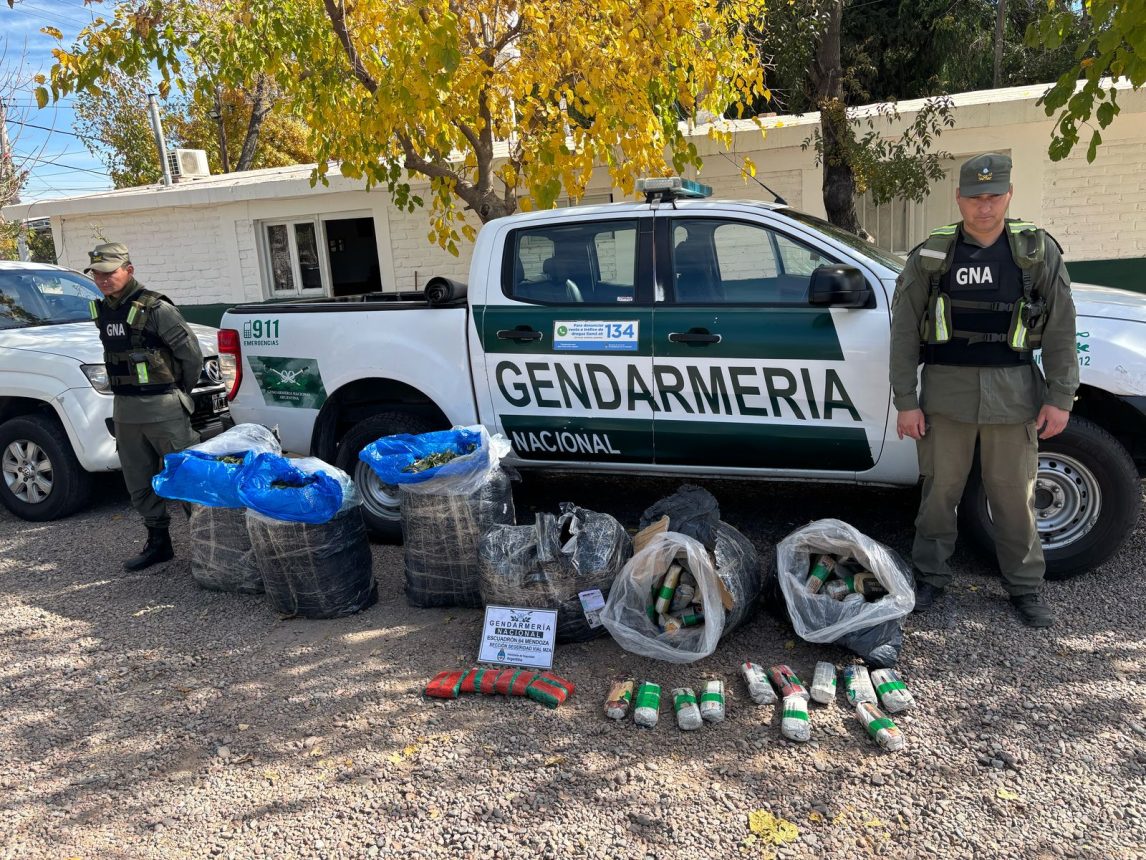 Cae camión con 130 kilos de hojas de coca camuflada en encomiendas
