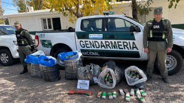 Cae camión con 130 kilos de hojas de coca camuflada en encomiendas