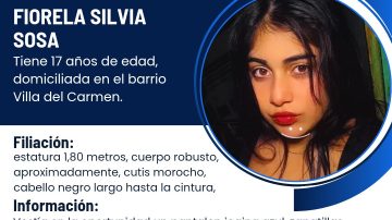 Adolescente publicó una foto desde un colectivo de larga distancia; la buscan desesperadamente