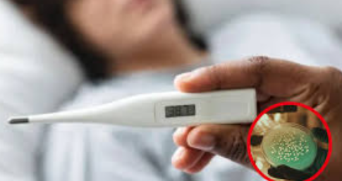 Alarma por un brote de fiebre tifoidea: “Puede estar en el agua”