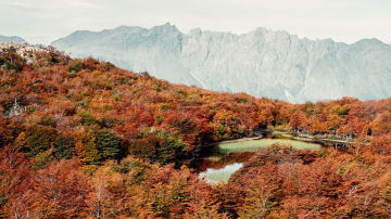 Buscan a dos mujeres que se perdieron en un cerro de El Bolsón