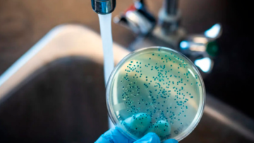 Fiebre tifoidea: la amenaza silenciosa que causó un brote y despertó el temor