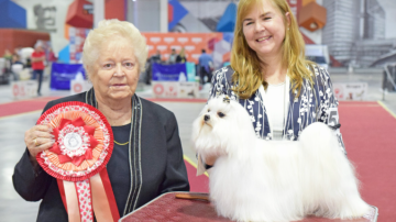 El Nodo Tecnológico es sede de la Expo Canina 2025