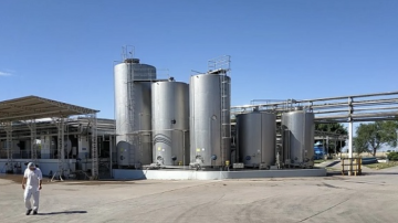 Alarma en la industria láctea: la empresa que elabora yogures Sancor paralizó su producción