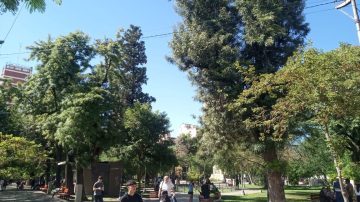 Julio se despide con un jueves primaveral en Santiago del Estero