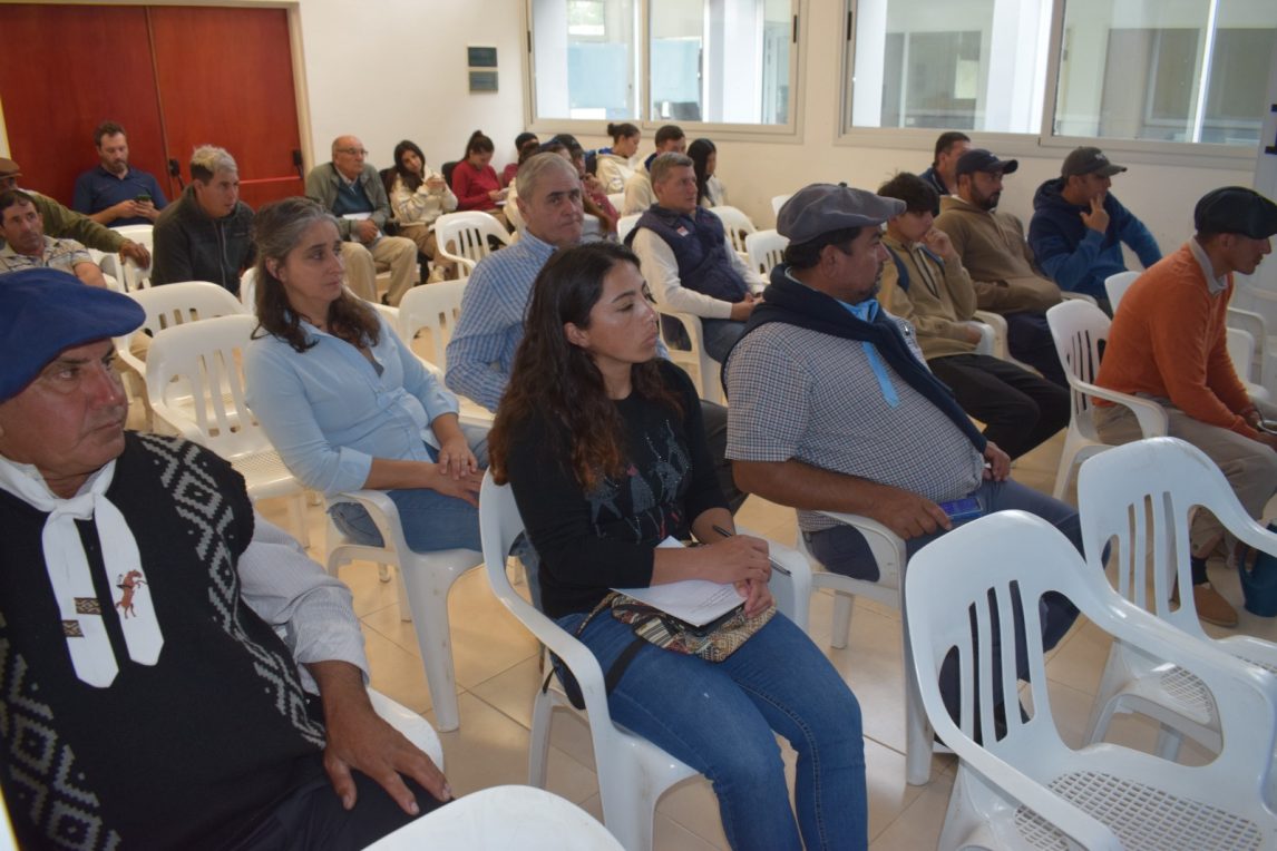 capacitacion