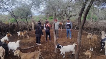 Alumnos de la EFA participaron en una exitosa jornada junto a los Veterinarios del Monte Santiagueño