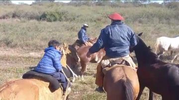 Santafesinos cabalgaron al Santuario de Mailín y se les sumó un pequeño de 10 años