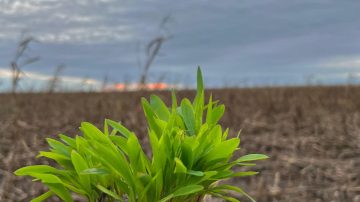 INTA Quimilí lanzó la 4° edición del Concurso Fotográfico por el Día Nacional de la Conservación del Suelo