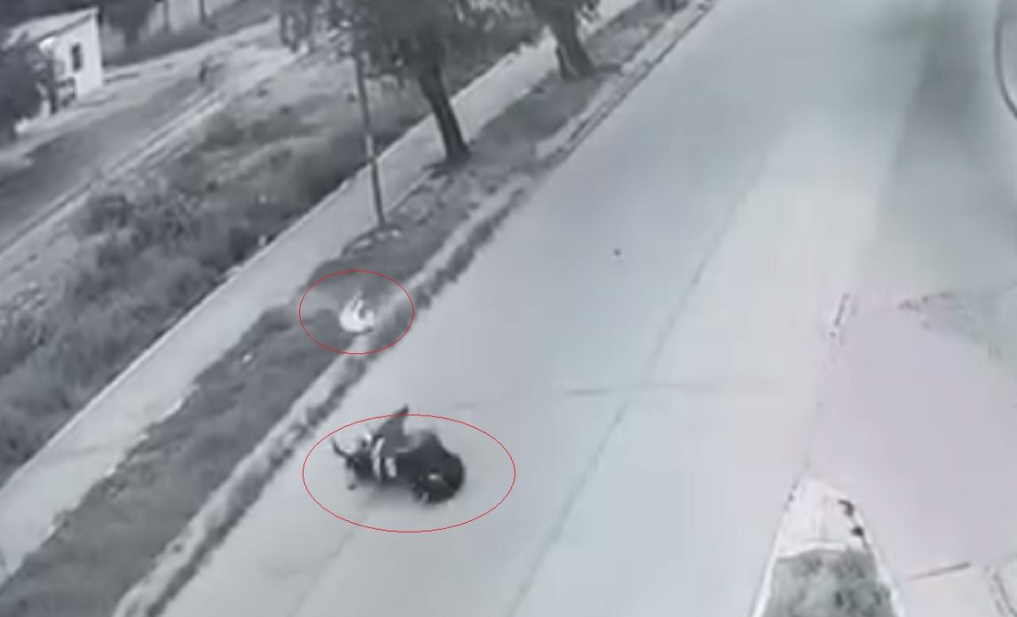 VIDEO | Terrible “palo” de un motociclista al que se le atravesó un perro