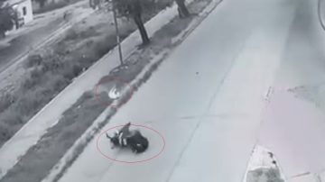 VIDEO | Terrible “palo” de un motociclista al que se le atravesó un perro