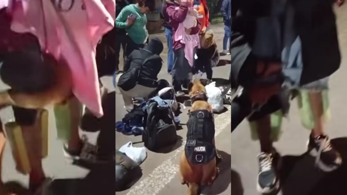 VIDEO | Cayeron dos “mulas” con casi 9 kilos de cocaína: una de ellas viajaba con una beba de 3 meses