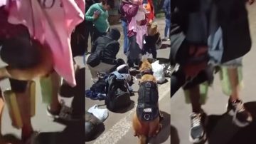 VIDEO | Cayeron dos “mulas” con casi 9 kilos de cocaína: una de ellas viajaba con una beba de 3 meses