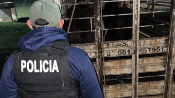 Detuvieron a cuatrero y recuperaron animales robados en el interior de la provincia