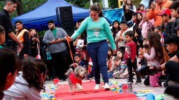 La plaza Libertad se vestirá de colores para la decima edición del Festival por el Día del Animal