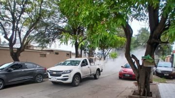 Cronograma de fumigaciones en Capital de toda la semana