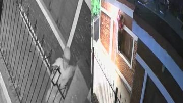 Video: en un minuto se roba un reflector que estaba encendido