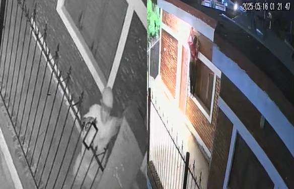Video: en un minuto se roba un reflector que estaba encendido