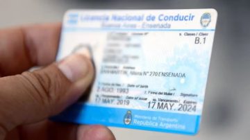 Chau a las filas y los turnos: la licencia de conducir ahora se saca por internet