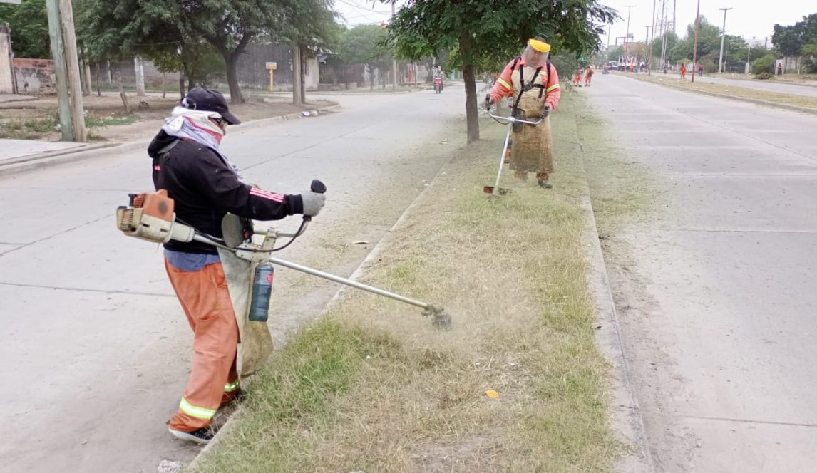 Concretan un nuevo operativo de desmalezamiento de la platabanda de Av. Lugones