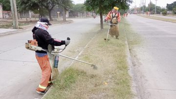 Concretan un nuevo operativo de desmalezamiento de la platabanda de Av. Lugones