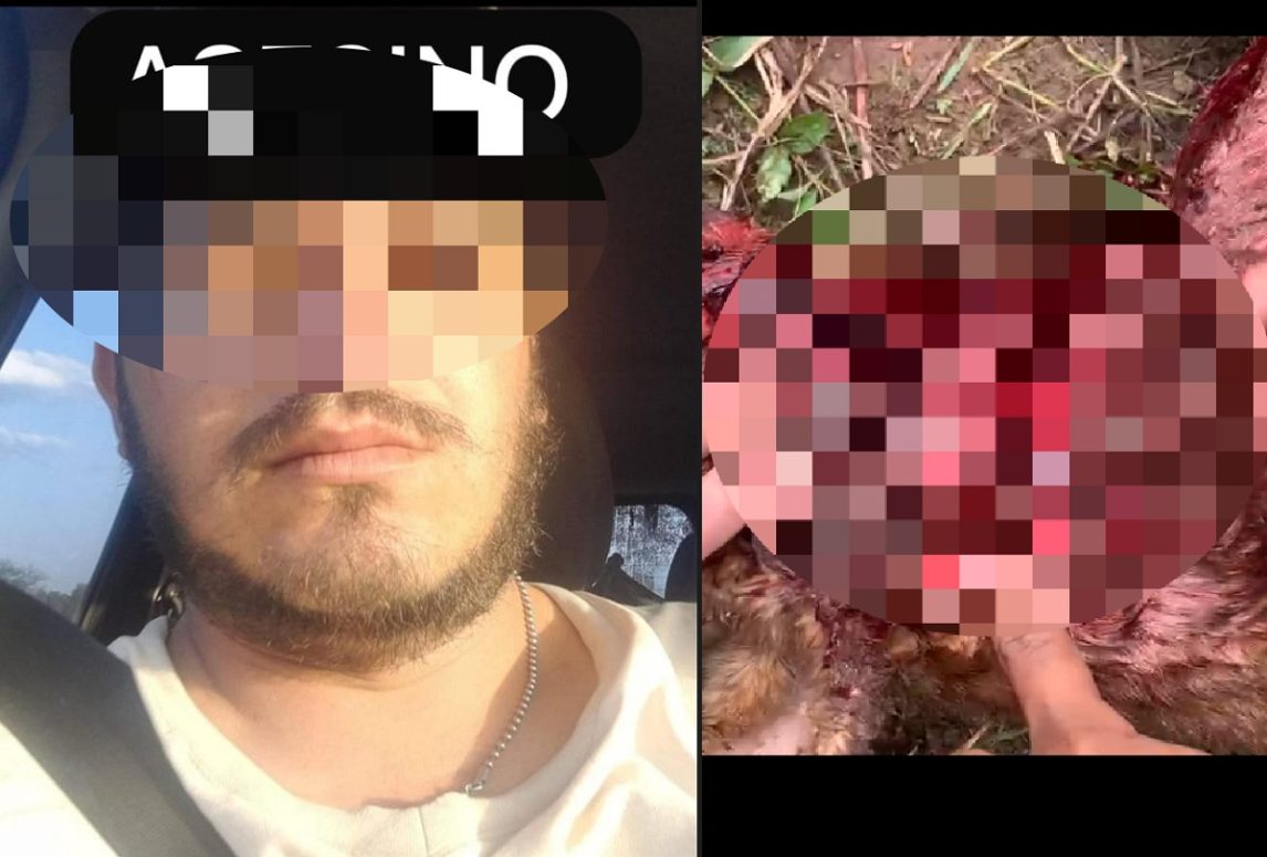 VIDEO | Brutal caso de maltrato animal en El Polear: desangró al perro de su vecino hasta la muerte