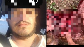 VIDEO | Brutal caso de maltrato animal en El Polear: desangró al perro de su vecino hasta la muerte