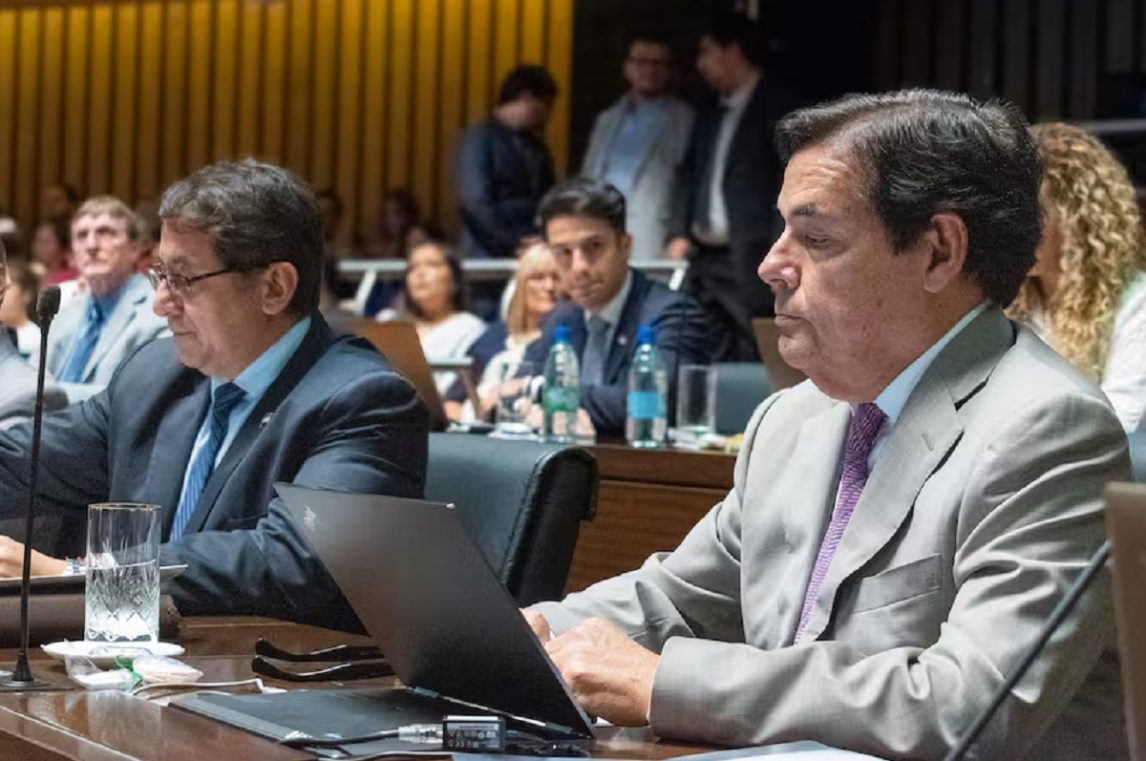 Rovira admitió que votó en contra de Ficha Limpia por pedido de Milei
