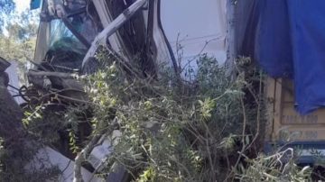 Horrorosa muerte de un santafesino cerca de Quimilí: chocó un árbol y quedó atrapado en la cabina del camión