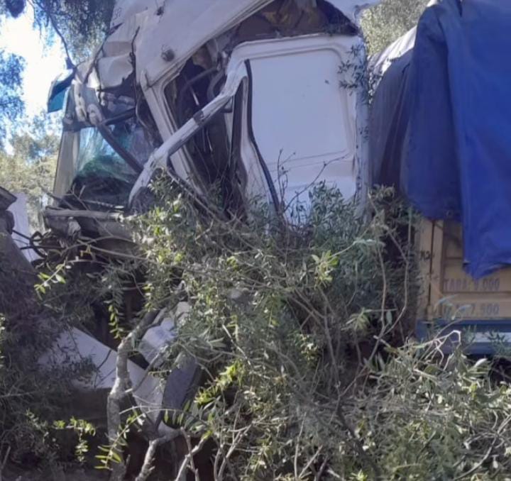 Horrorosa muerte de un santafesino cerca de Quimilí: chocó un árbol y quedó atrapado en la cabina del camión