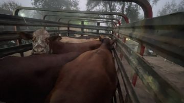 Detienen a un hombre por robar cinco animales vacunos desde una finca