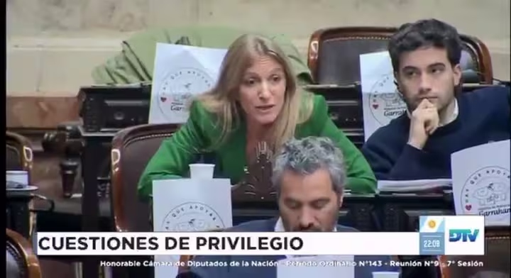 VIDEO | Durísimo cruce entre la diputada K, Florencia Carignano, con Milman y legisladoras de LLA