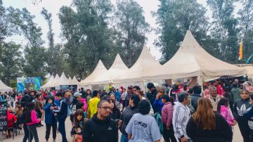 Este viernes 6 vence el plazo para la pre-inscripción de la Feria Artesanal 2025