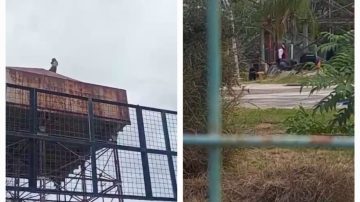 VIDEO | Impactantes imágenes del hombre que se arrojó de un tanque de 20 metros de altura