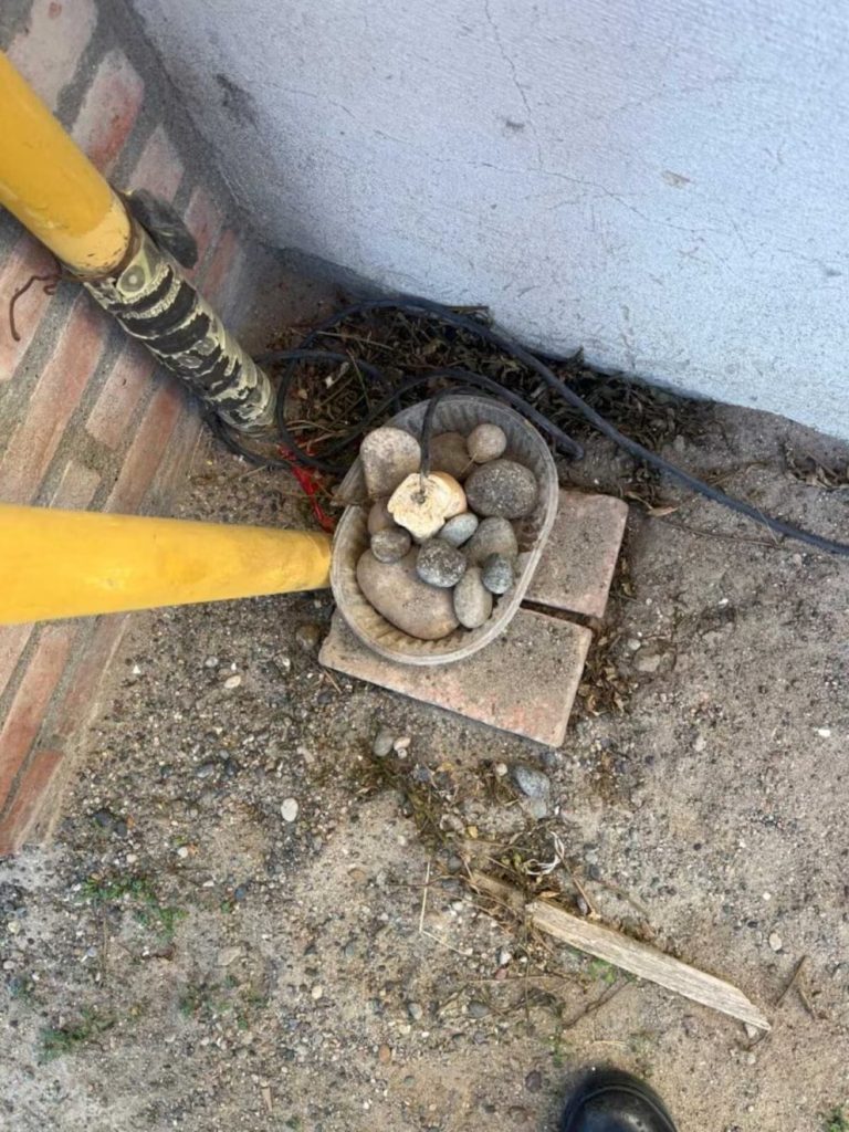 Una vecina puso un cable con corriente en un pan para herir a los perros