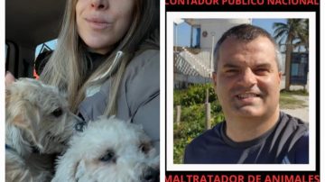 Habló la abogada que denunció al maltratador de animales: Los vecinos temían denunciarlo