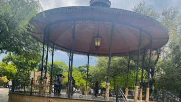 Convocan a ser parte de una jornada por el buen trato, el arte y la dignidad en la vejez