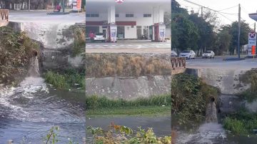 VIDEO | Vecino denunció el vaciamiento de aguas servidas en un desagüe pluvial