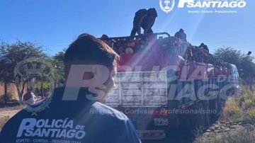 Tala ilegal en Sumampa: decomisan un camión con 28 toneladas de quebracho blanco