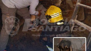 Tras varias horas de angustia, los Bomberos rescataron a un perrito que cayó a un pozo ciego
