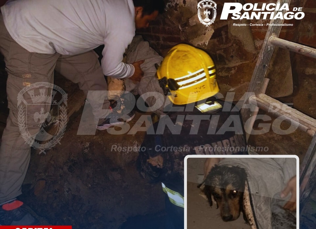 Tras varias horas de angustia, los Bomberos rescataron a un perrito que cayó a un pozo ciego