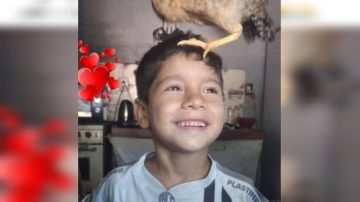 VIRAL | Piden ayuda para encontrar a un gallo y una gallina, mascotas de un niño