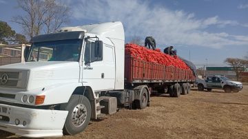 Camionero que transportaba 32 toneladas de cebollas quiso “coimear” a los gendarmes