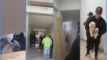 VIDEO | Allanan departamento céntrico y rescatan a dos perros víctimas de maltrato