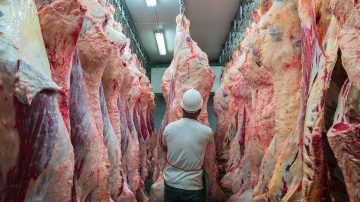 Argentina, el país de la carne, importó casi 5 toneladas de carne bovina en el primer cuatrimestre