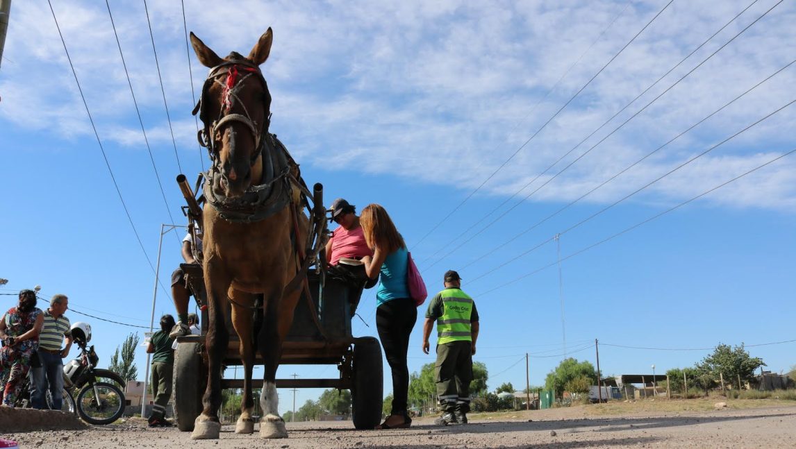 Chocaron con un carro de tracción a sangre y tuvieron que ser hospitalizados