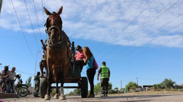 Chocaron con un carro de tracción a sangre y tuvieron que ser hospitalizados